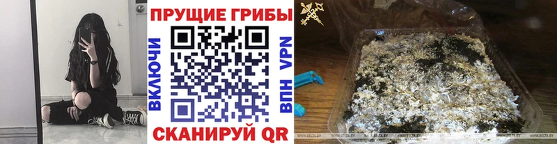 наркошоп  Волгореченск  Псилоцибиновые грибы MAGIC MUSHROOMS 